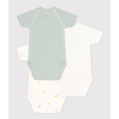 petit bateau set van 3 overslagbody sea turtle print