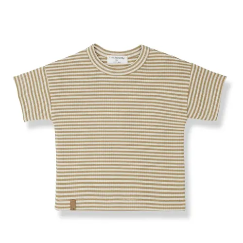 one more in the family Aristide striped rib jersey s.sleeve t-shirt havana