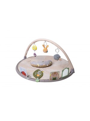 taf toys Tummy Time Activity Gym