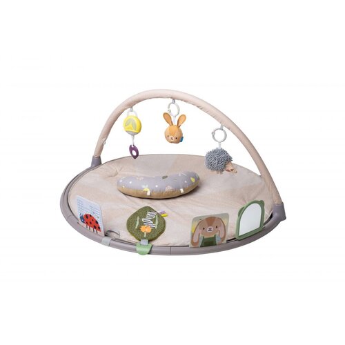 taf toys Tummy Time Activity Gym