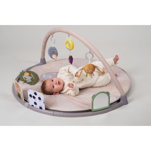 taf toys Tummy Time Activity Gym