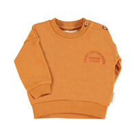 sweatshirt | camel w/ "jimmy apples farm" print