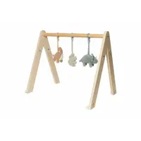 Babygym Speeltjes - Roarsome