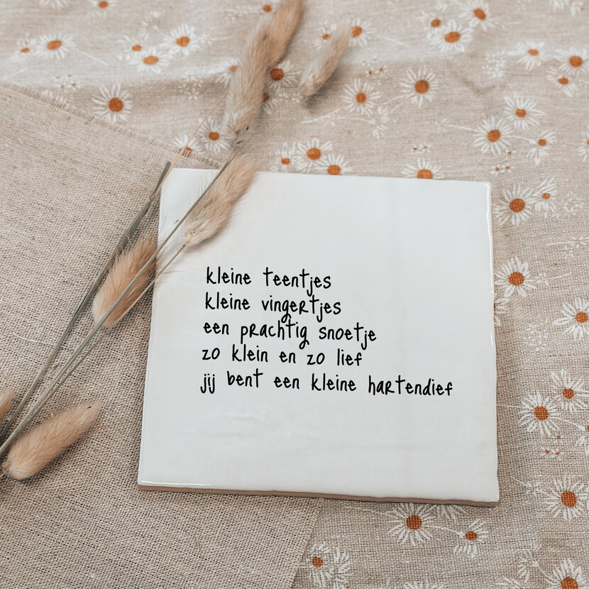 Oud Hollands tegeltje | Kleine teentjes