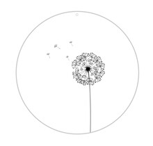 Roundie |  Muurcirkel | Paardenbloem