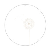 Roundie |  Muurcirkel | Paardenbloem Beige