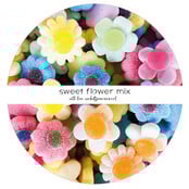 Sweeties | Snoepzak dots | Fijne feestdagen