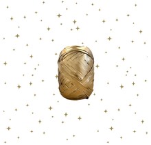 Mini klosje lint  | Goud Rond | Goud | 10 meter