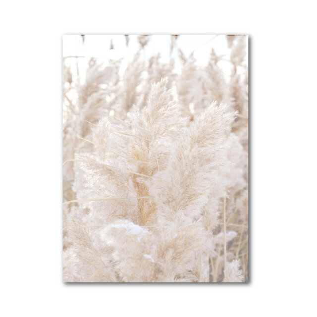 Vlaggetje | Voor je vlaggenlijn | Varens