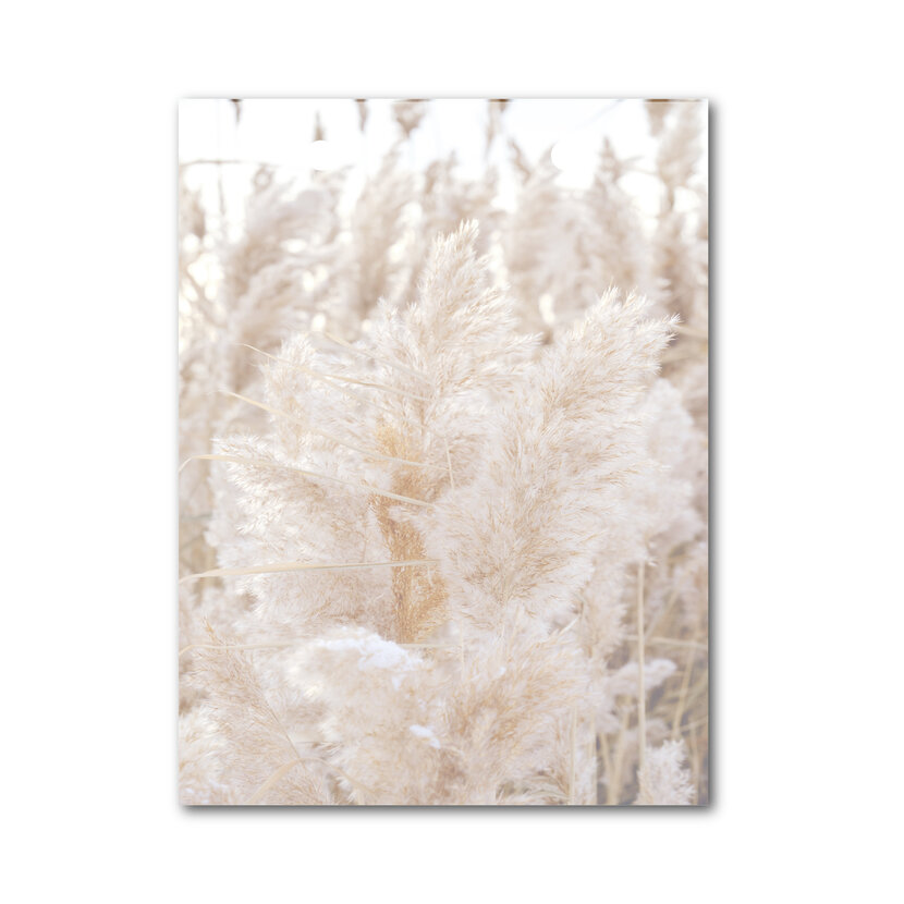 Vlaggetje | Voor je vlaggenlijn | Varens