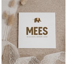 Gepersonaliseerd tegeltje | 11 CM | Naam | Olifantje