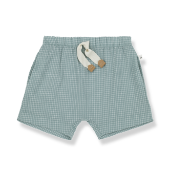 1+ in the family Salvatore bermuda | Shark