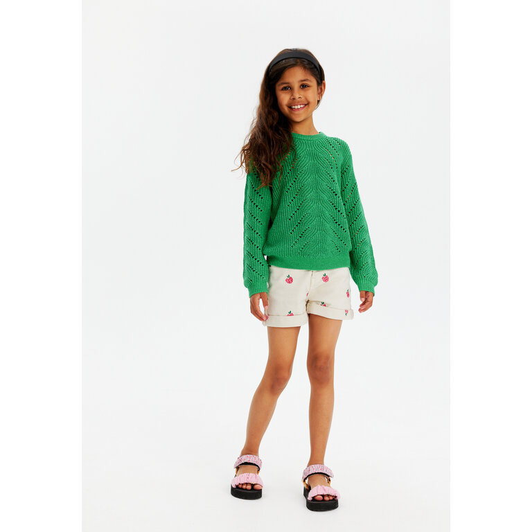 The New The New trui kind Jiva Knit Pullover (groen)