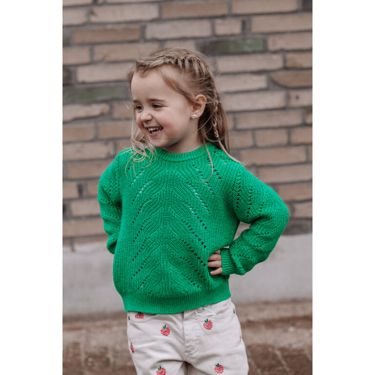The New Jiva knit Pullover | Groene gebreide trui