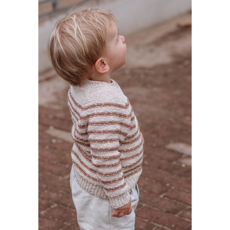1+ in the family Dante sweater | Sienna