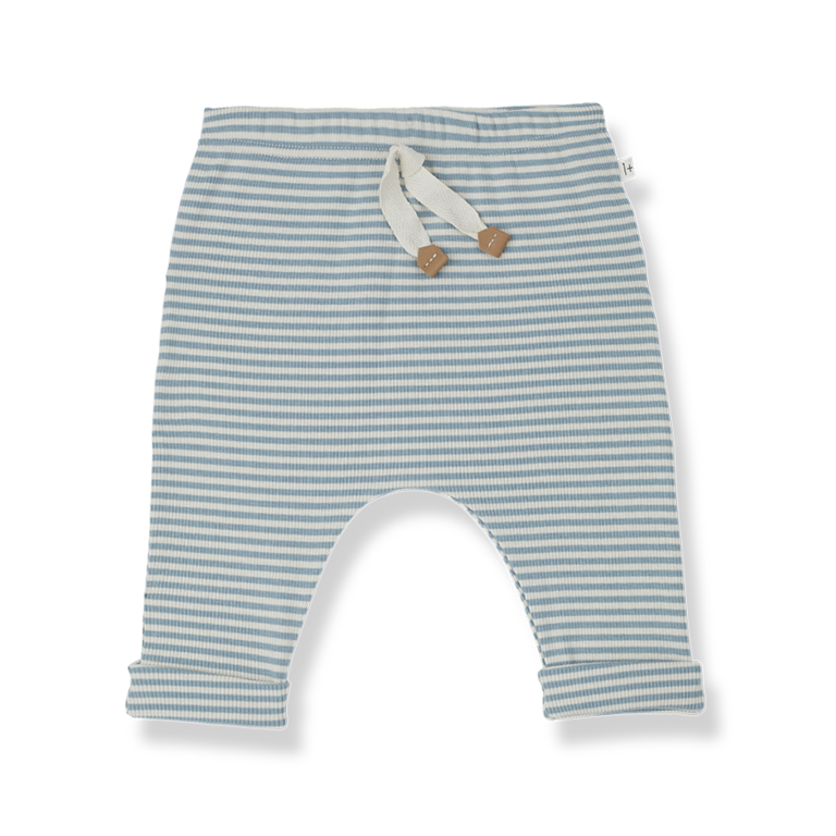 1+ in the family Mattia pants | Shark