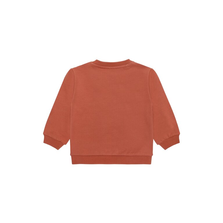 The New Lettie Sweatshirt | Sweater regenboog | Cedar Wood