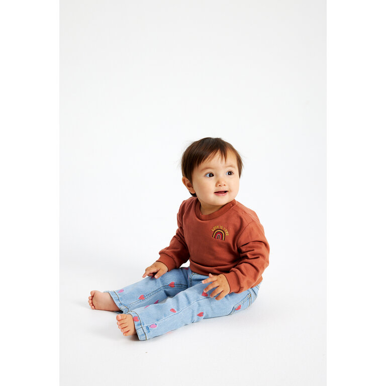 The New The New sweatshirt kind Lettie Sweatshirt Cedar Wood