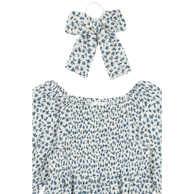 The New The New jurk kind Niki S/S Dress White Swan AOP (wit met blauwe print)