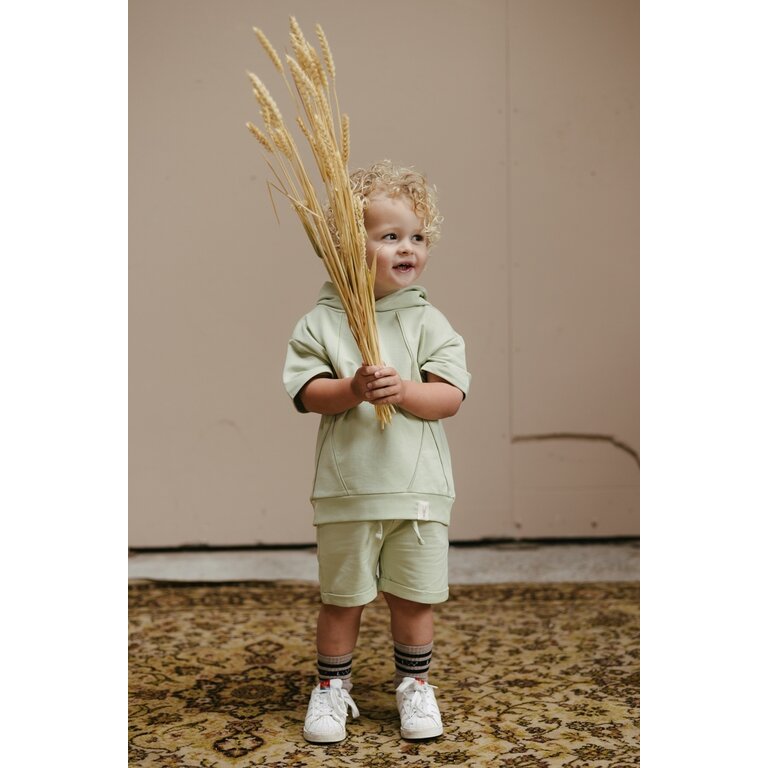 Levv LEVV trui jongen Sergio sweater Cedar Green groen