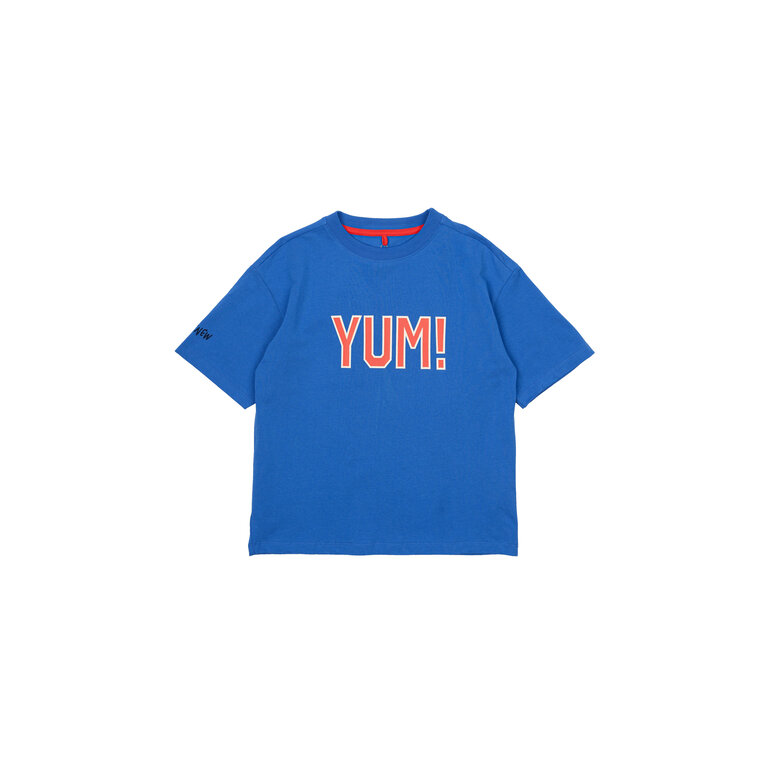 The New The New shirt kind Nino S/S Tee Daphne (blauw)