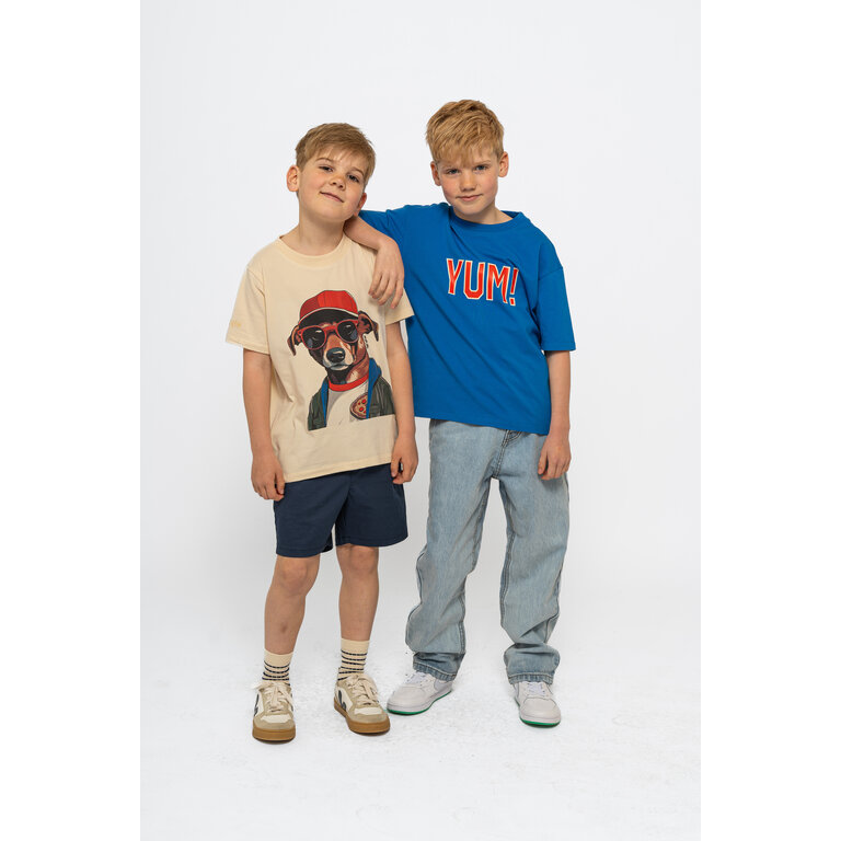 The New The New shirt kind Nino S/S Tee Daphne (blauw)