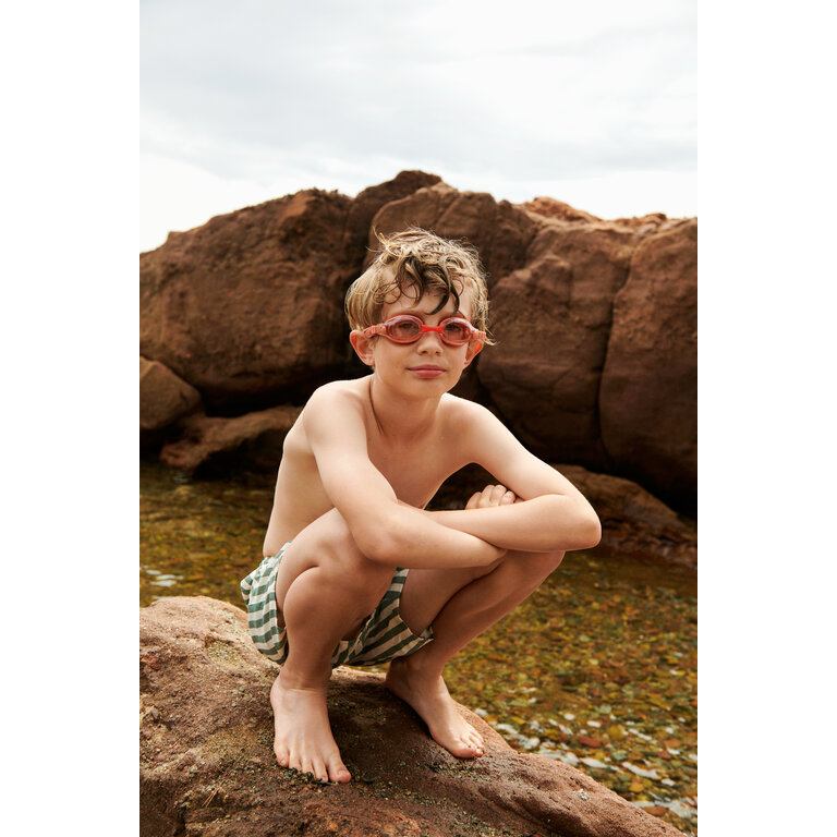 LIEWOOD Liewood | Duke Stripe Board Shorts | Stripe Peppermint Crisp white