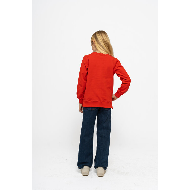 The New The New sweatshirt kind Ness Sweatshirt Poppy Red (rood)