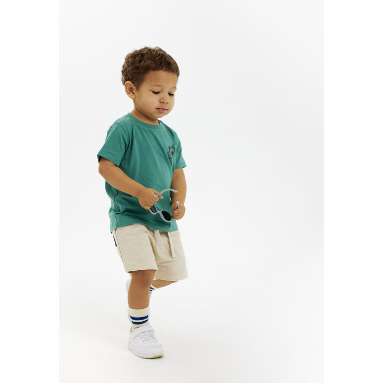The New The New shirt kind Newel S/S Tee Bottle Green (groen)
