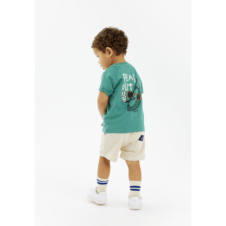 The New The New shirt kind Newel S/S Tee Bottle Green (groen)