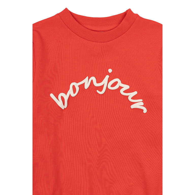 The New The New sweatshirt kind Nevada Sweatshirt Poppy Red (rood)