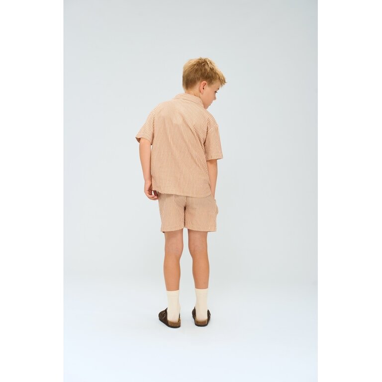 The New The New shirt kind Ollie Shirt (gestreept)