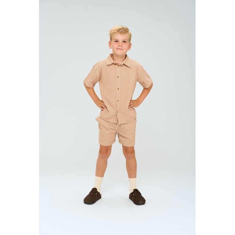 The New The New shirt kind Ollie Shirt (gestreept)