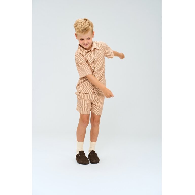 The New The New shirt kind Ollie Shirt (gestreept)