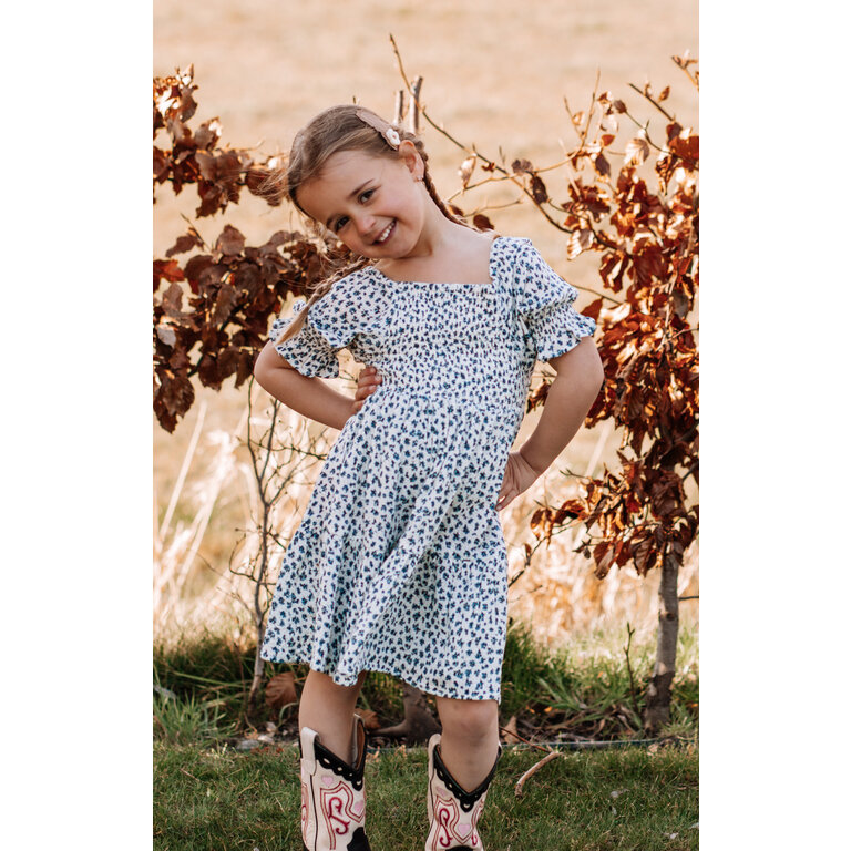 The New The New jurk kind Niki S/S Dress White Swan AOP (wit met blauwe print)