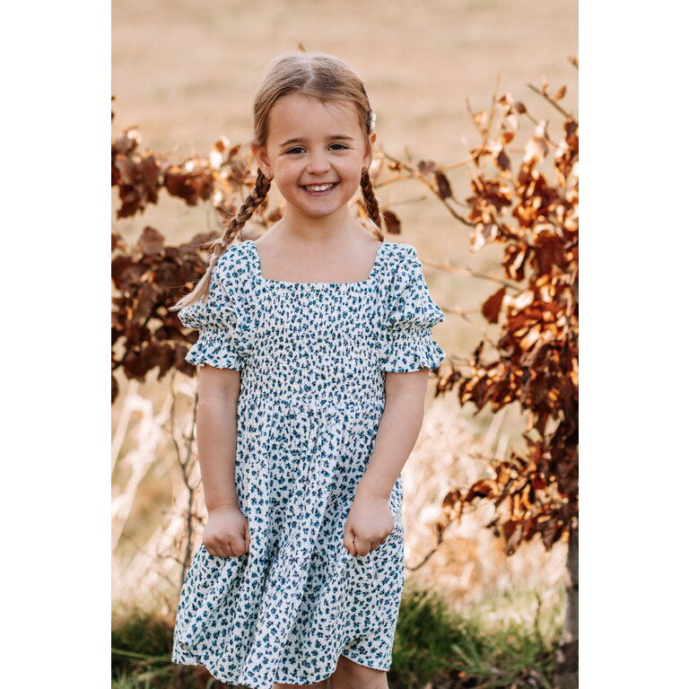 The New The New jurk kind Niki S/S Dress White Swan AOP (wit met blauwe print)