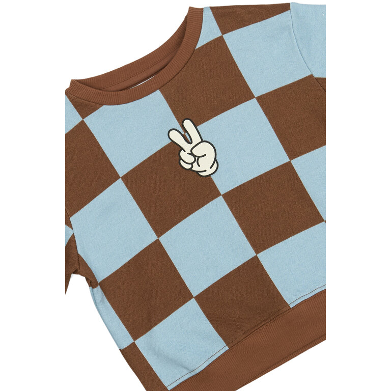 The New The New sweater kind Pollard Sweater (blauw en bruin)