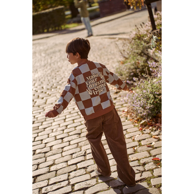 The New The New sweater kind Pollard Sweater (blauw en bruin)