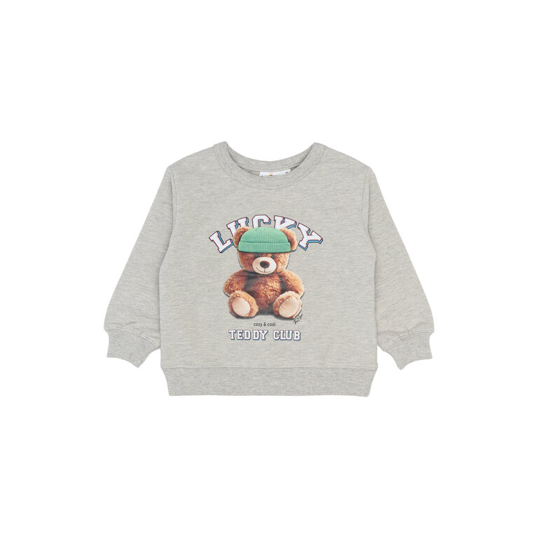 The New The New sweater kind Pippin (grijs)