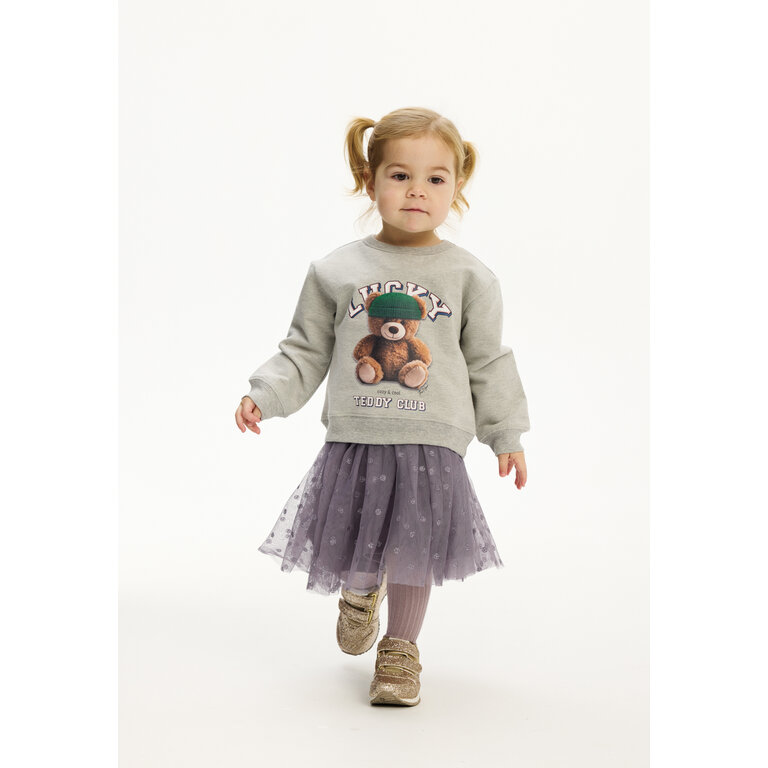 The New The New sweater kind Pippin (grijs)