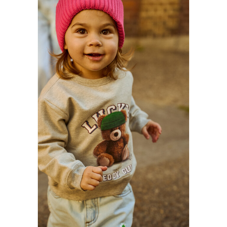 The New The New sweater kind Pippin (grijs)