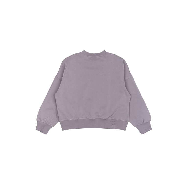 The New The New sweater kind Precious Sweater (paars)
