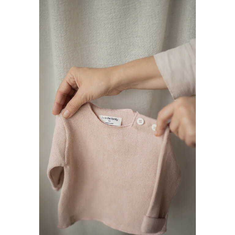 1+ in the family Chapin | Longsleeve | Roze