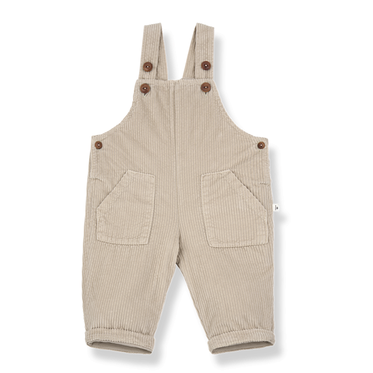 1+ in the family Benoit | Overal | Tortora