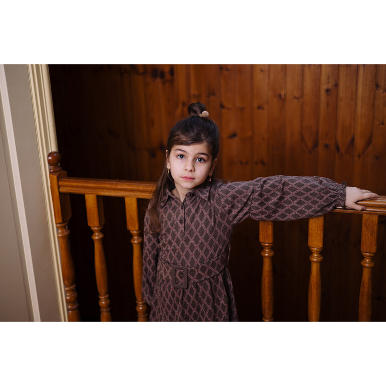 Levv Dress | Vajen | Taupe Lines LEVV