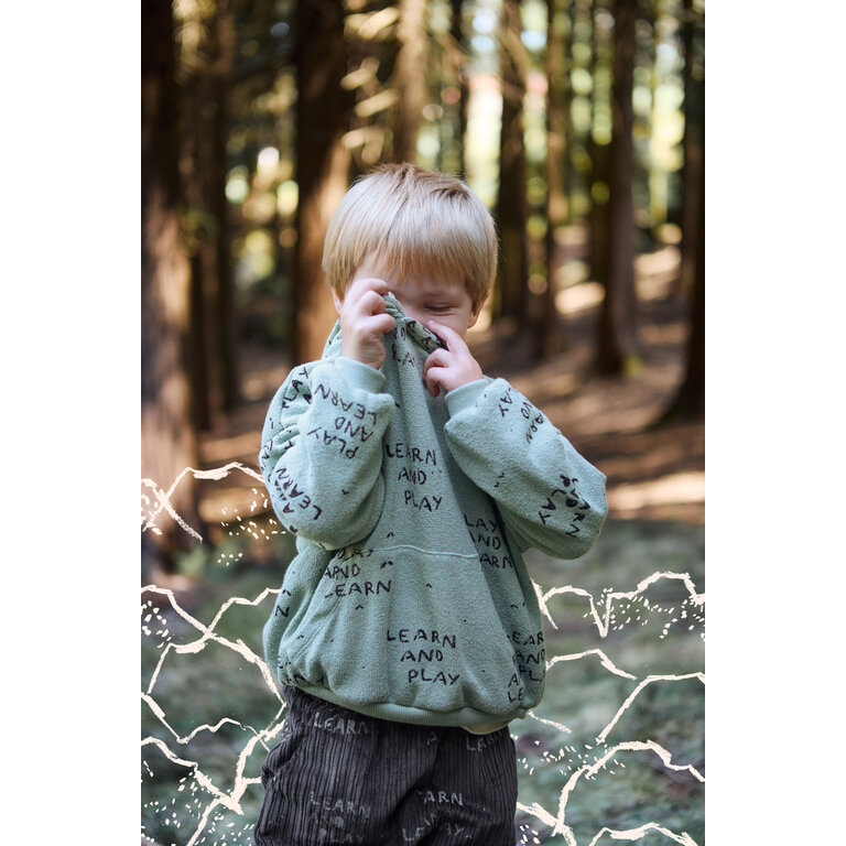 PLAY UP PLAY UP trui jongen Printed Jersey Arrabida (groen met print)