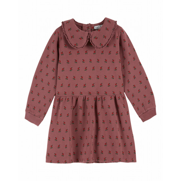 EMILE & IDA Jurk Emile et Ida | Robe Molleton Imprimee