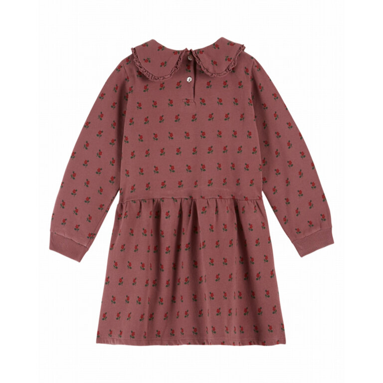 EMILE & IDA Jurk Emile et Ida | Robe Molleton Imprimee