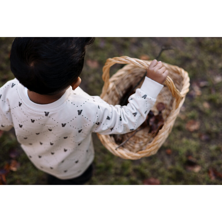 Levv LEVV sweater jongen Varick sweater White Graphic wit met print