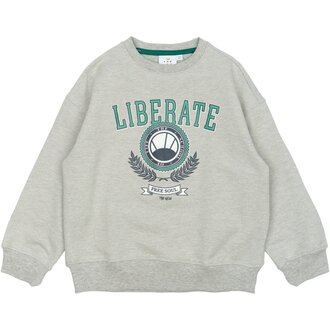 The New The New |  Penno Sweatshirt | Light Grey Melange